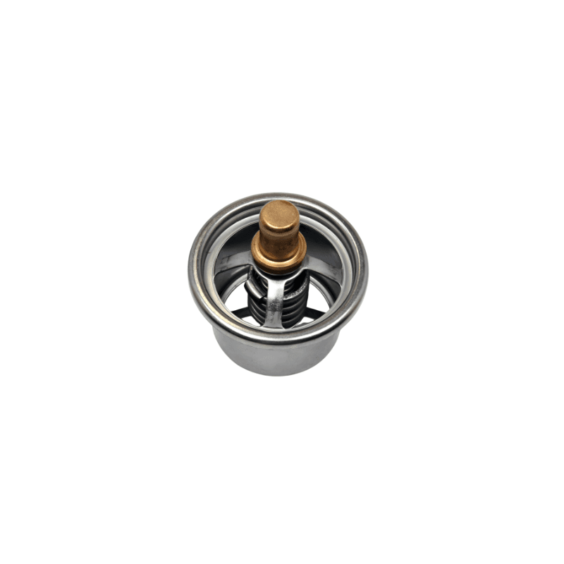 TERMOSTATO DETROIT S50-60 160GRADOS